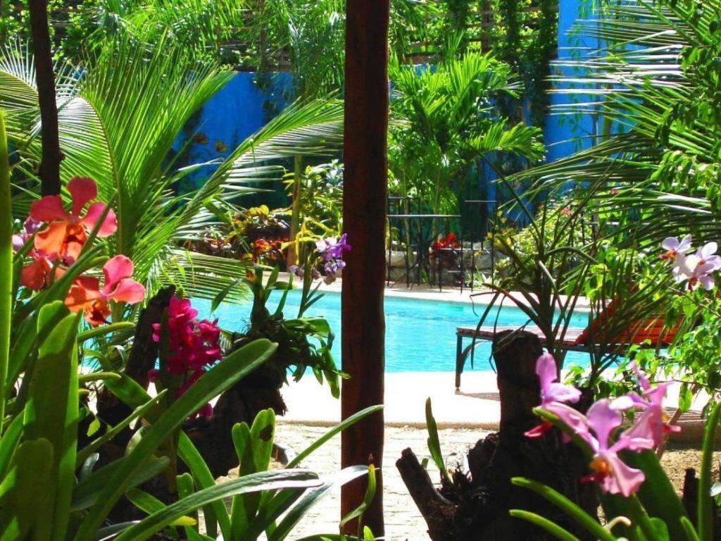 Alta Cebu Resort Exterior foto